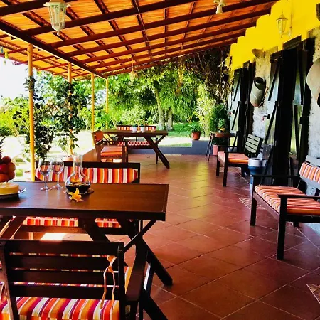Vila Sea View *