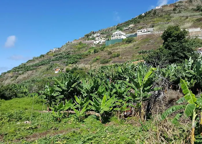 Vila Sea View *