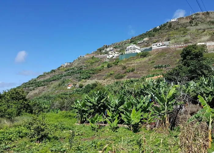 Sea View Calheta (Madeira)